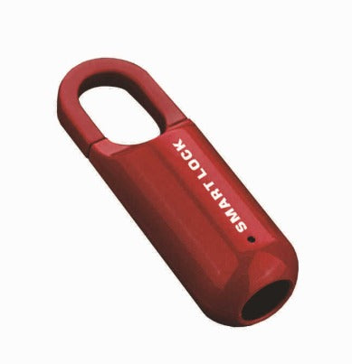 Smart Fingerprint Padlock Cabinet Lock